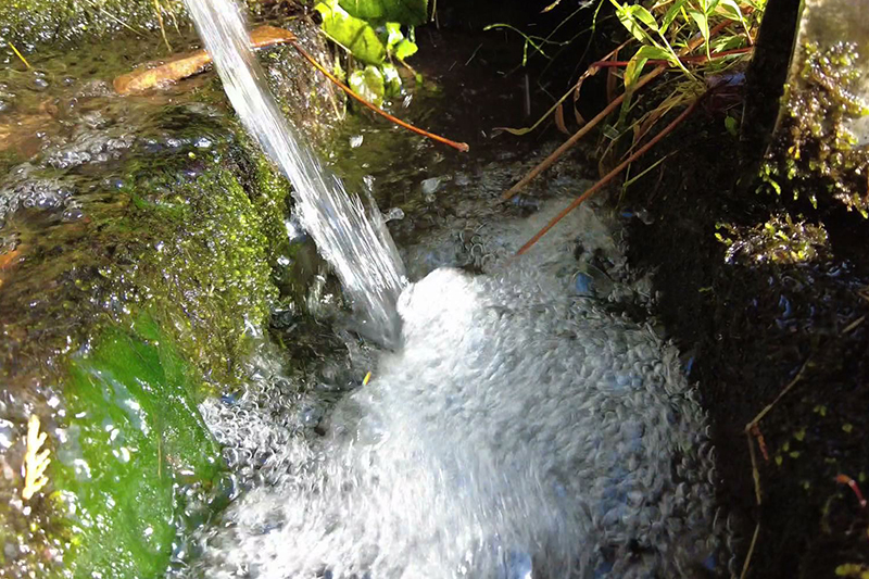 医法山の水