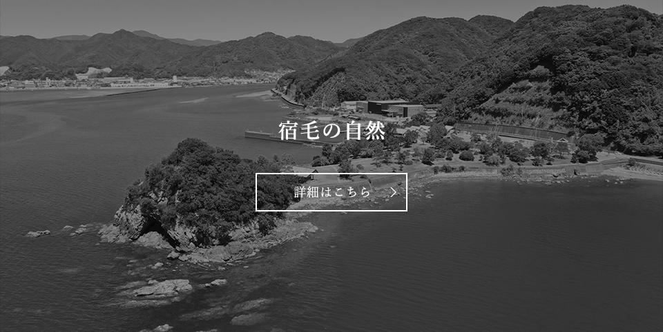 宿毛の自然